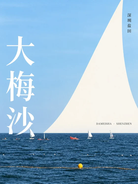 根据所附原始照片生成的真实 Everyday Rare 艺术作品 — 海边一日